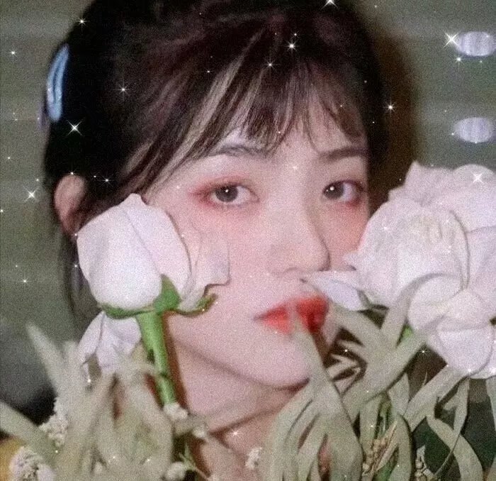 欲海姊妹花